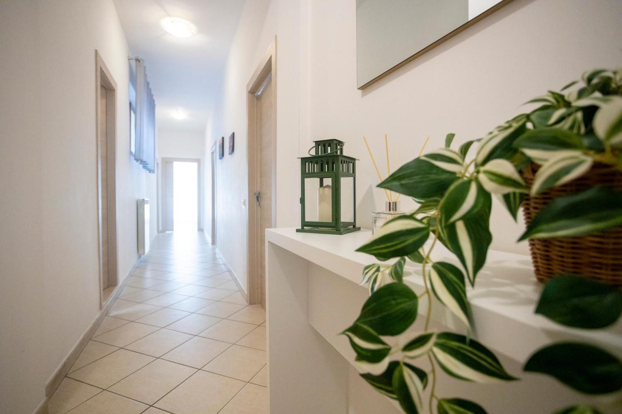 Casa Mia Sorrento Daire Dış mekan fotoğraf